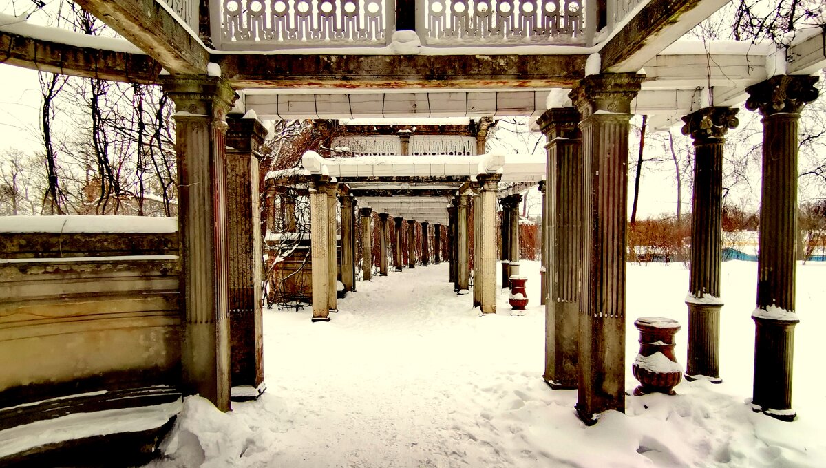 Пергола в Собственном садике Ек. парка Ц С - Сергей Пергола в Собственном садике Ек. парка Ц С - Сергей