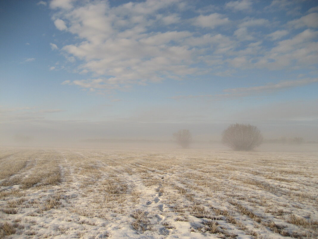 Туманное утро - Anna Ivanova