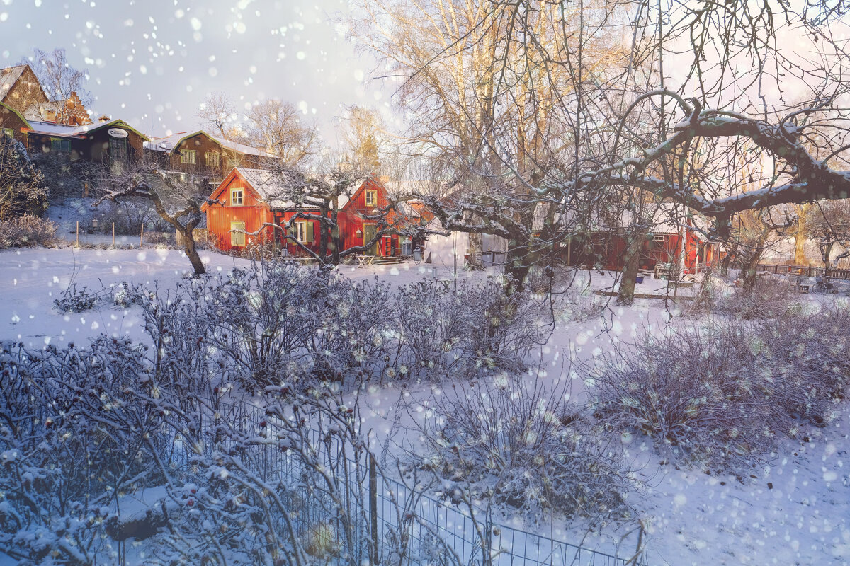 ** - Александр Липовецкий ** - Александр Липовецкий