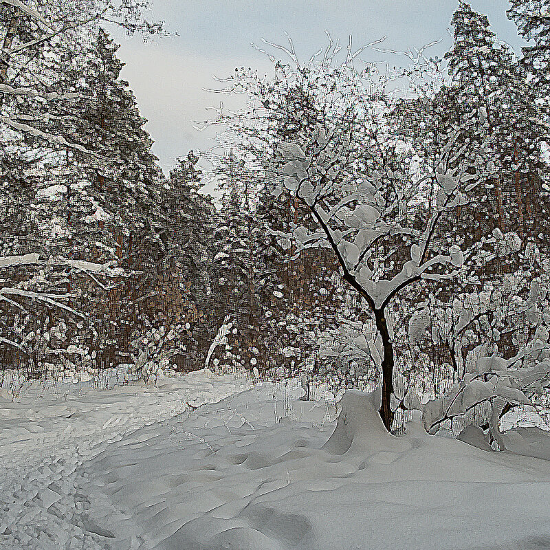 Побродилки с фотокамерой - Олег Пучков Побродилки с фотокамерой - Олег Пучков
