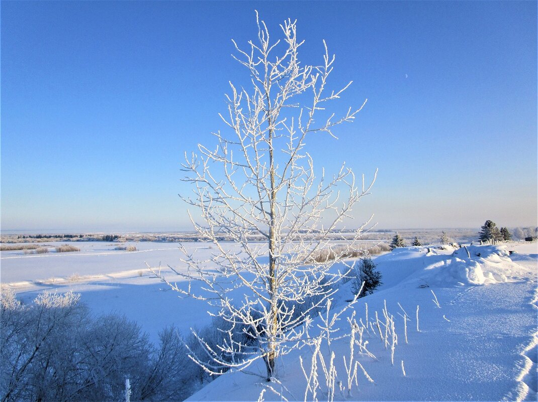 Деревенские пейзажи. - ЛЮДМИЛА 