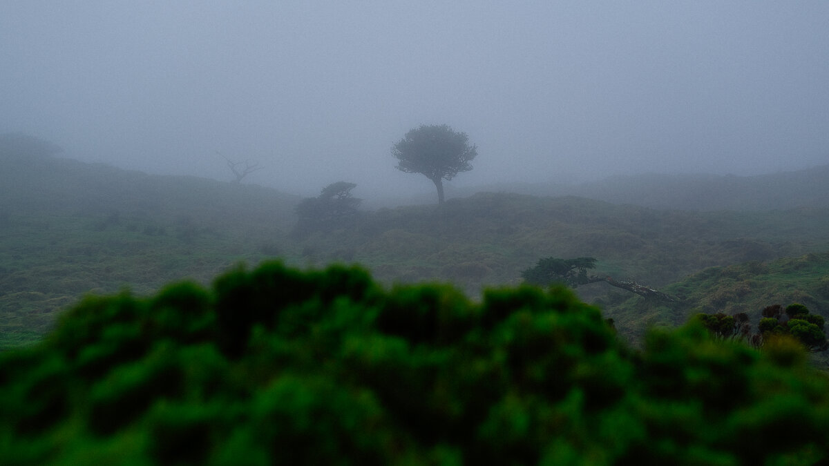 Azores - Денис Драгунов