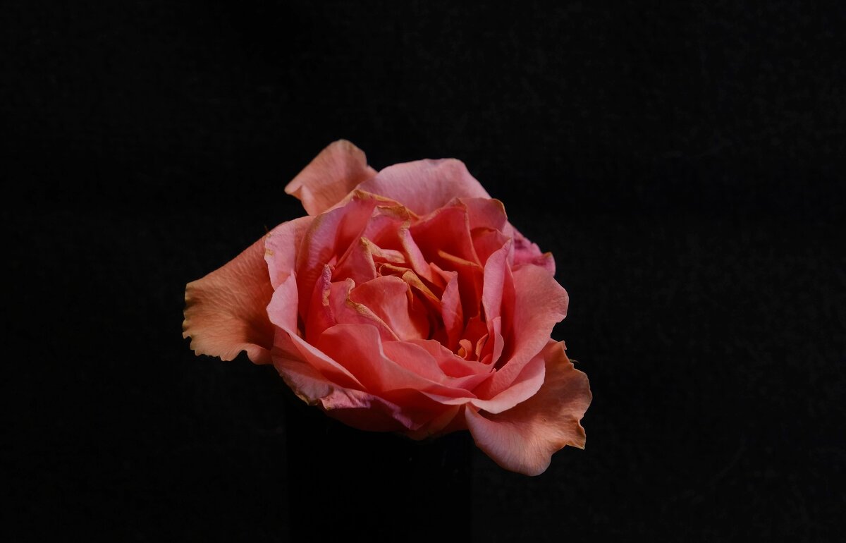 * - Вадим * - Вадим