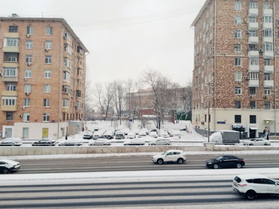 Возле дома моего. - Владимир Драгунский