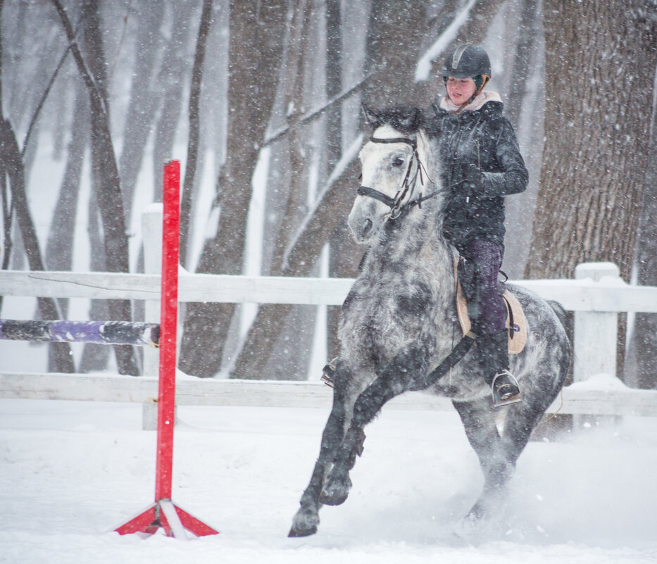Алина и Сокол - Елена Логачева Алина и Сокол - Елена Логачева