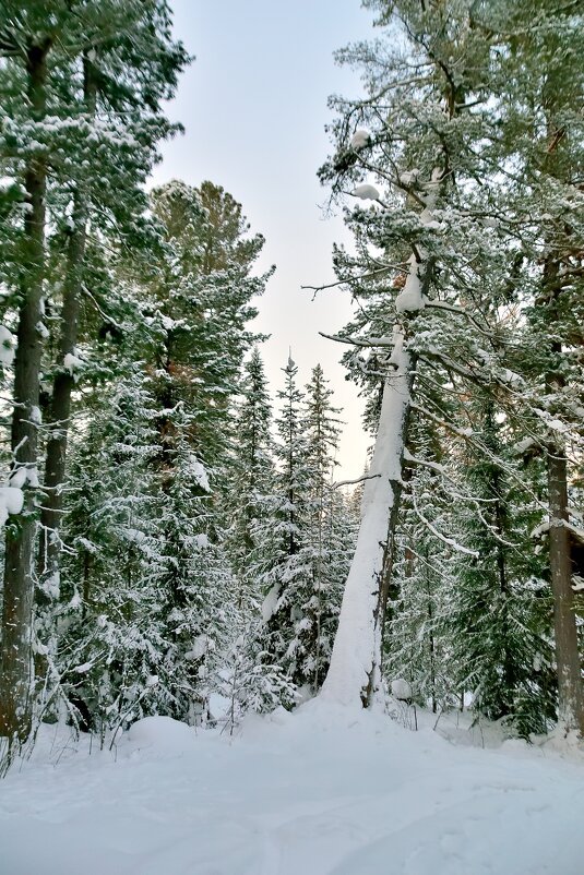 - - Владимир Мигонькин