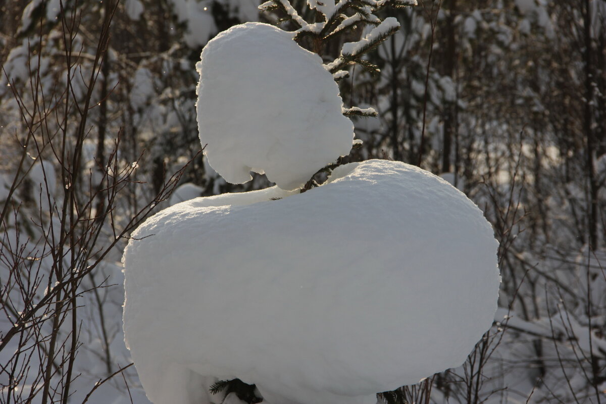 Зимний. - OLGA 