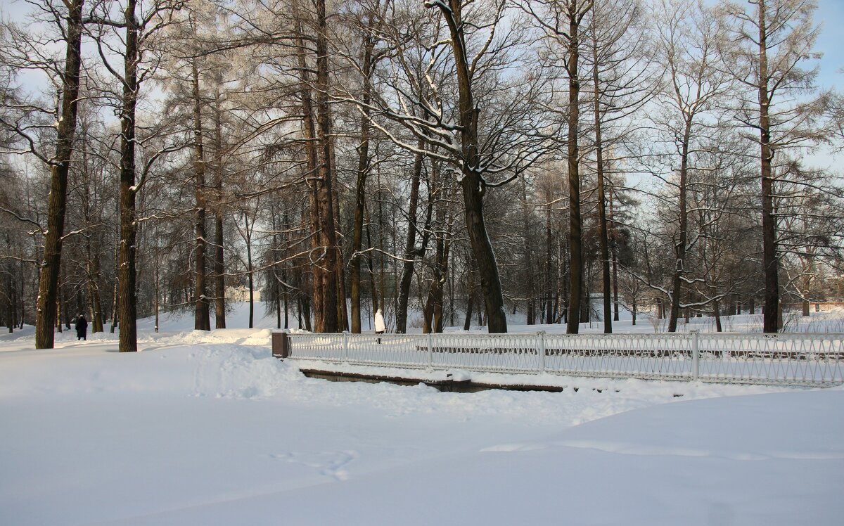 Александровский парк. Февраль - Наталья Герасимова