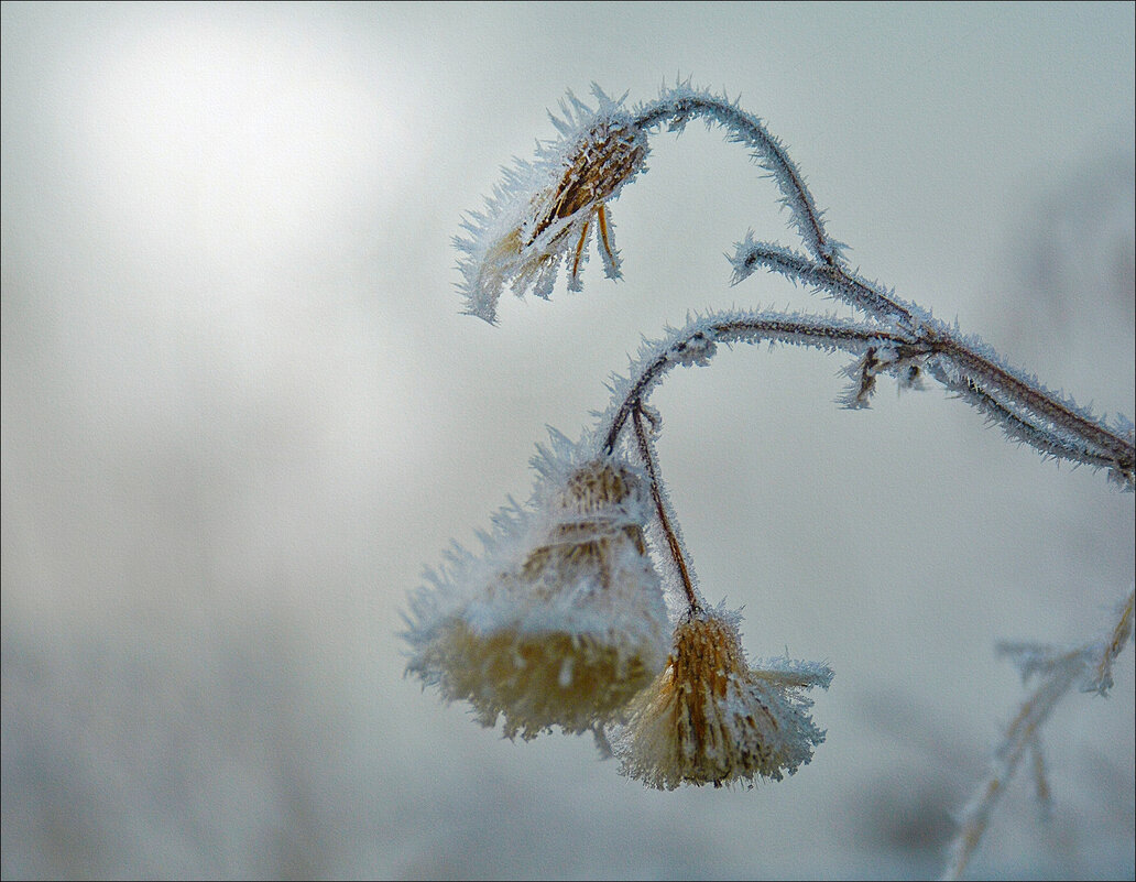*** - Юрий Гординский