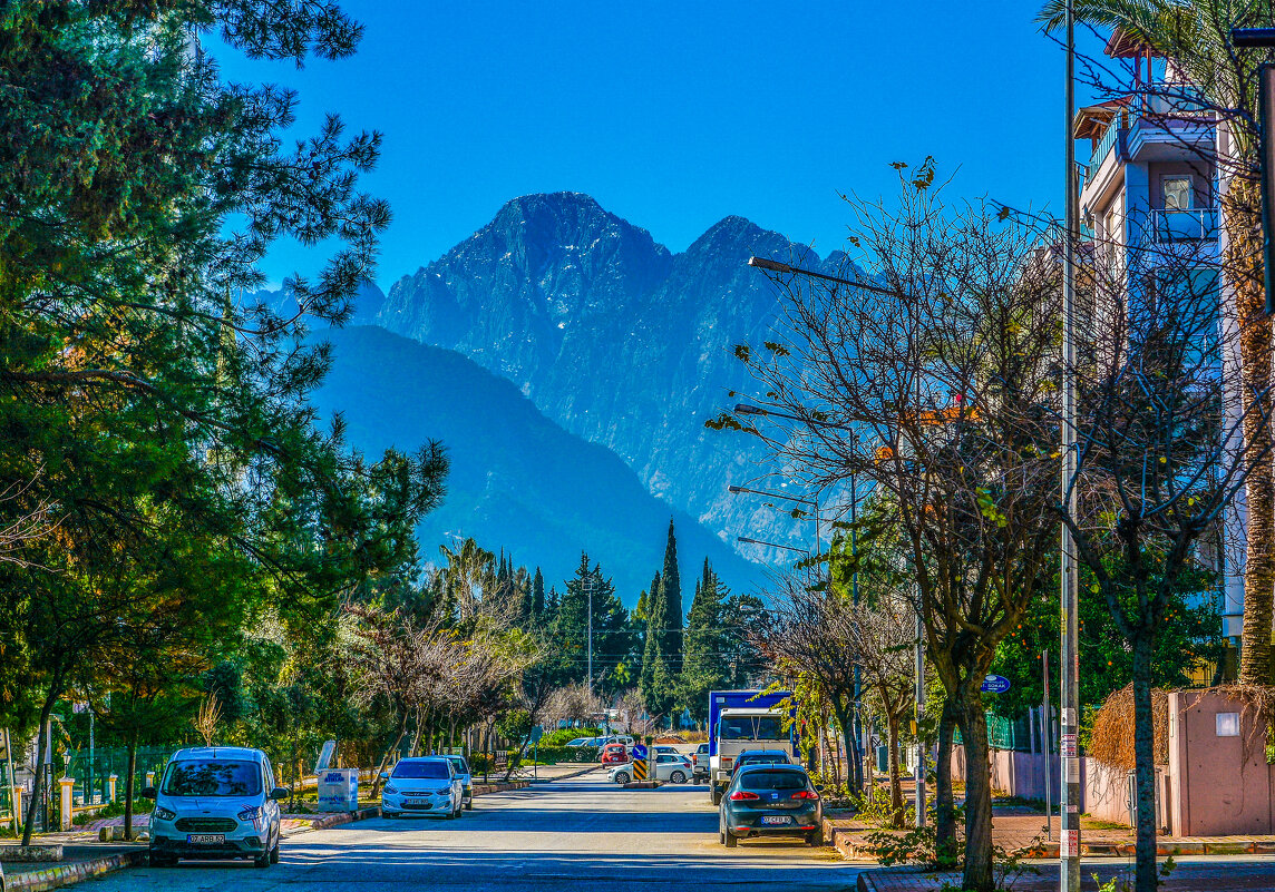 Весеннее настроение - Eldar Baykiev Весеннее настроение - Eldar Baykiev