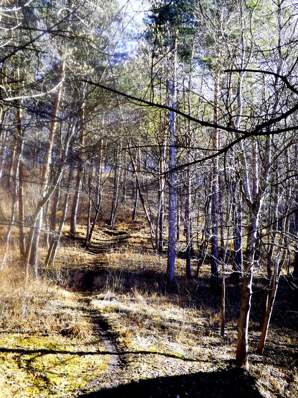 В  Курортном  парке!)).. - Евгений 