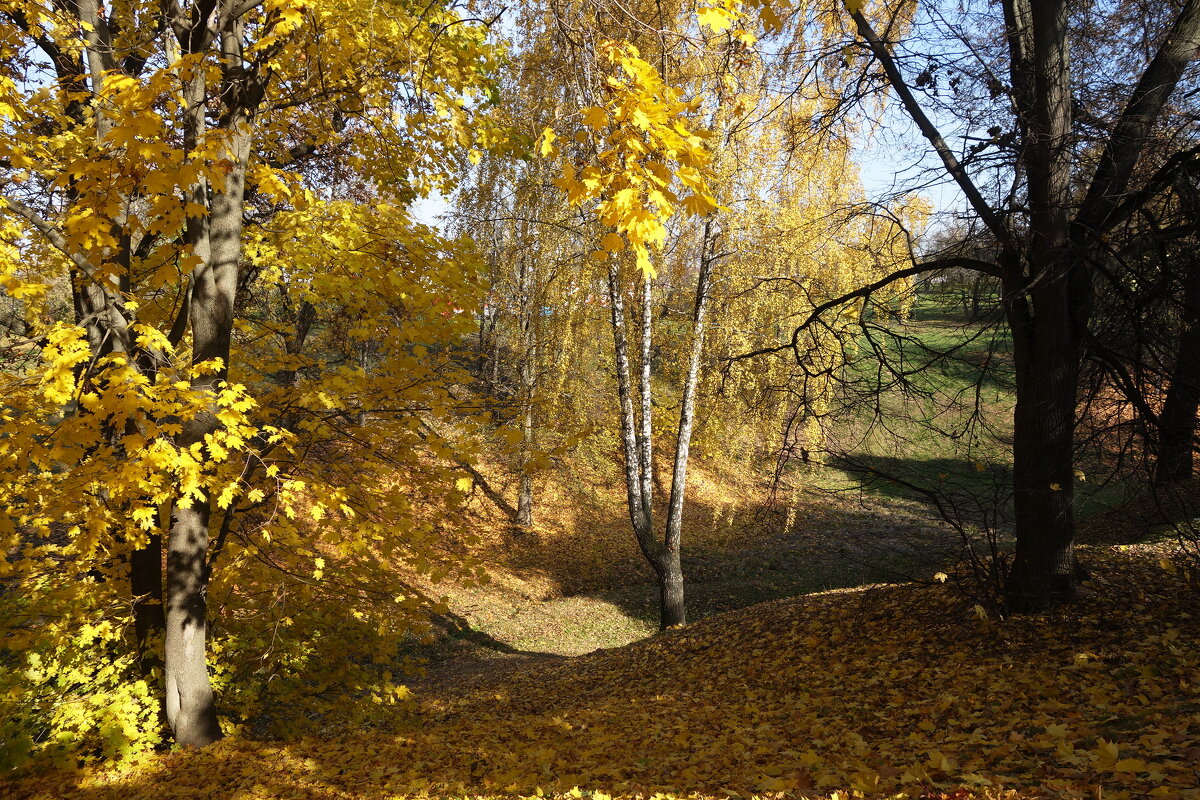 Музей-заповедник Царицыно - Маргарита Батырева