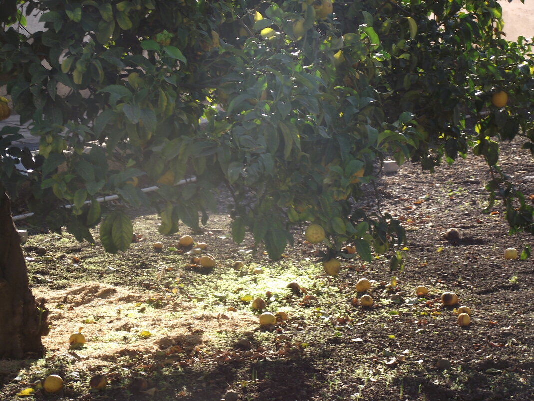 КЛОС (105) - CLOSE WAYS ALL