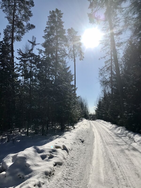 Это в городе тепло и сыро, а за городом - зима, зима, зима! - Pippa 