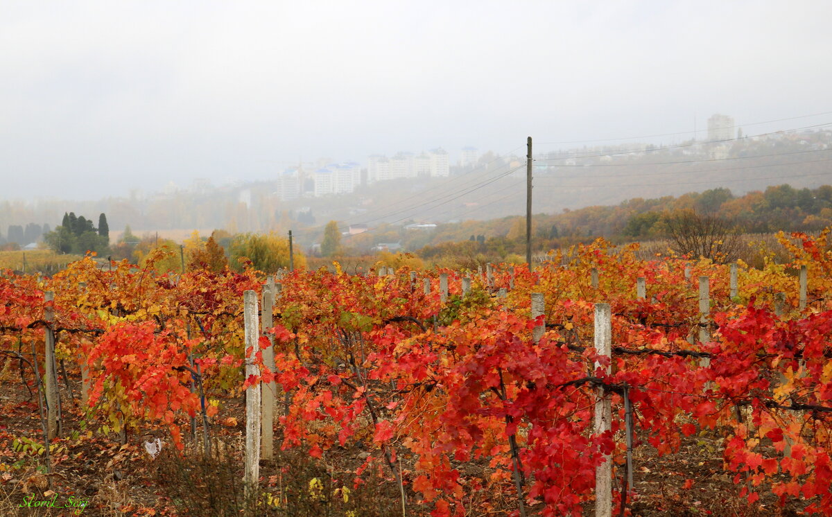 Осень - Сергей Скорик