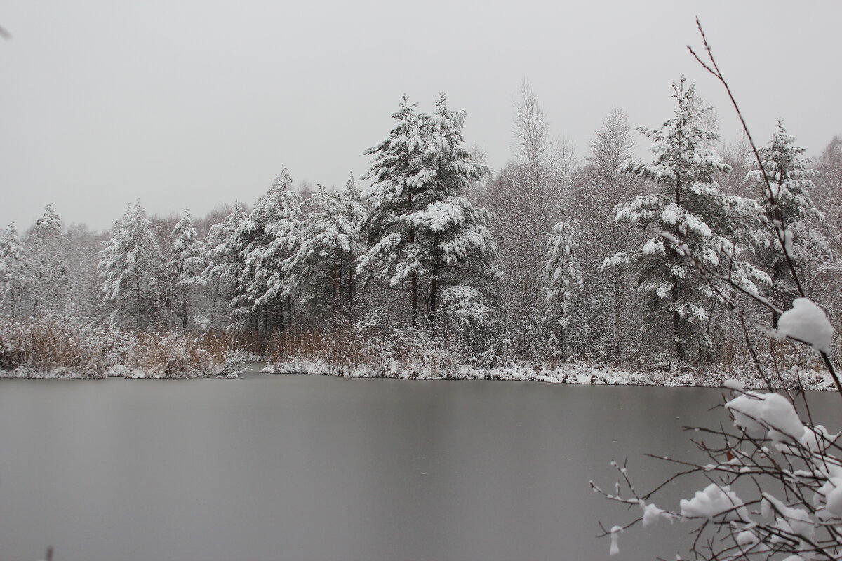 Поздняя осень - Григорий охотник Поздняя осень - Григорий охотник