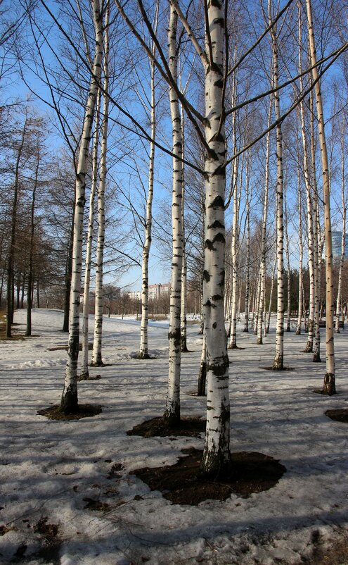 Весна - Наталья Герасимова Весна - Наталья Герасимова