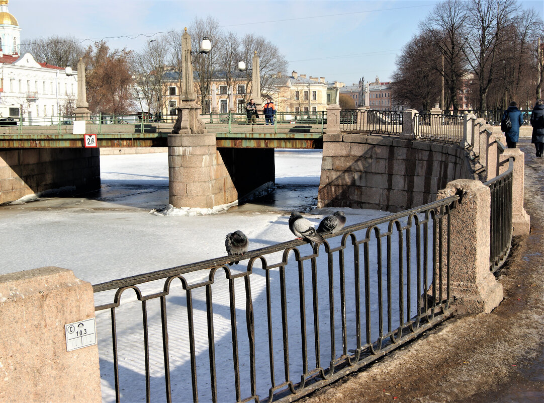 КАНАЛ ГРИБОЕДОВА - Виктор Никитенко