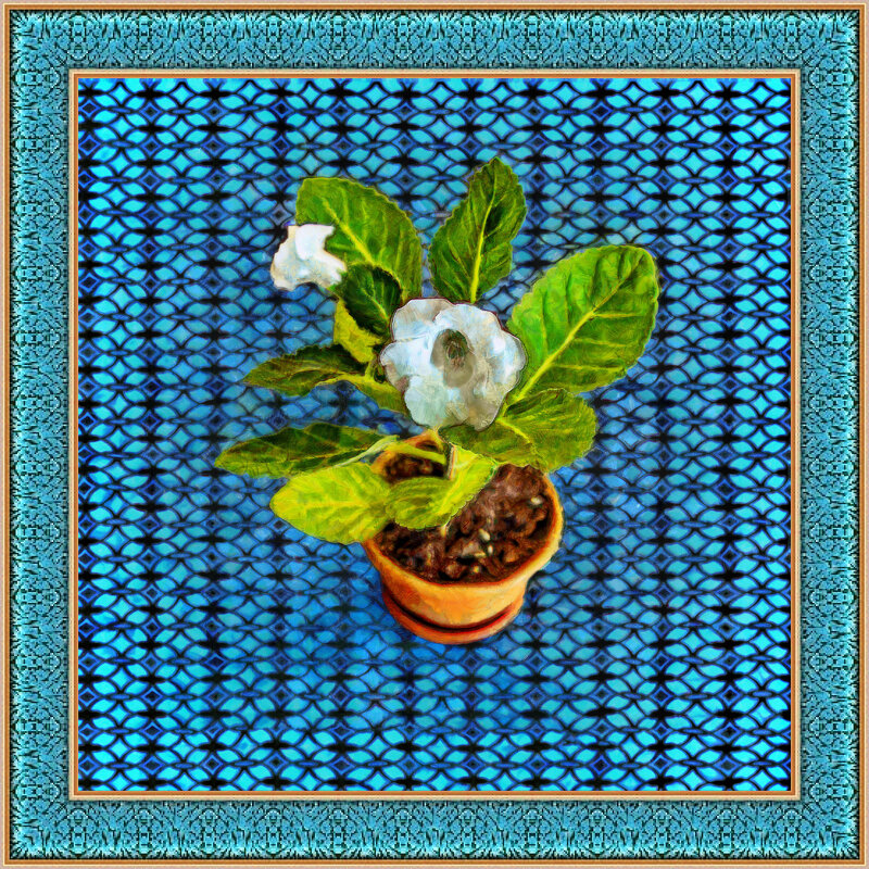 Комнатные цветы - Анатолий Чикчирный