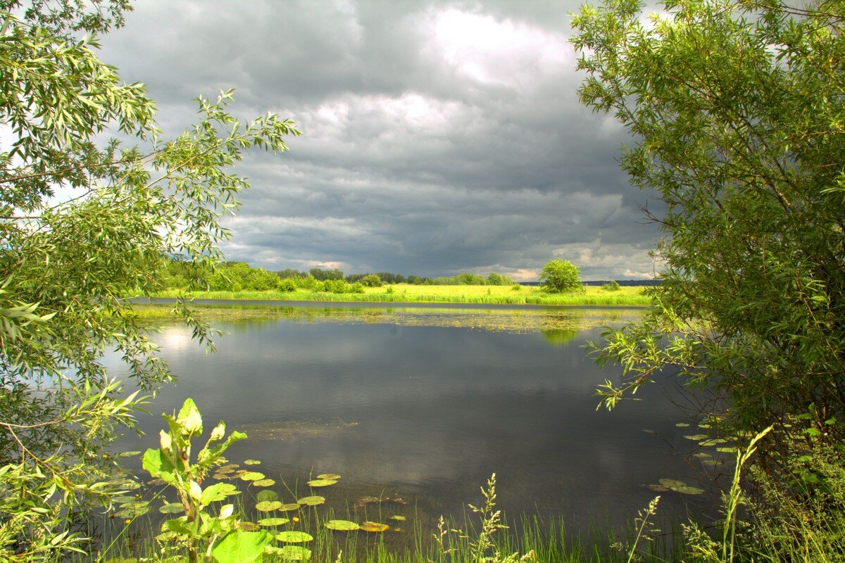 Заветное место на старице - Владимир Кириченко Заветное место на старице - Владимир Кириченко