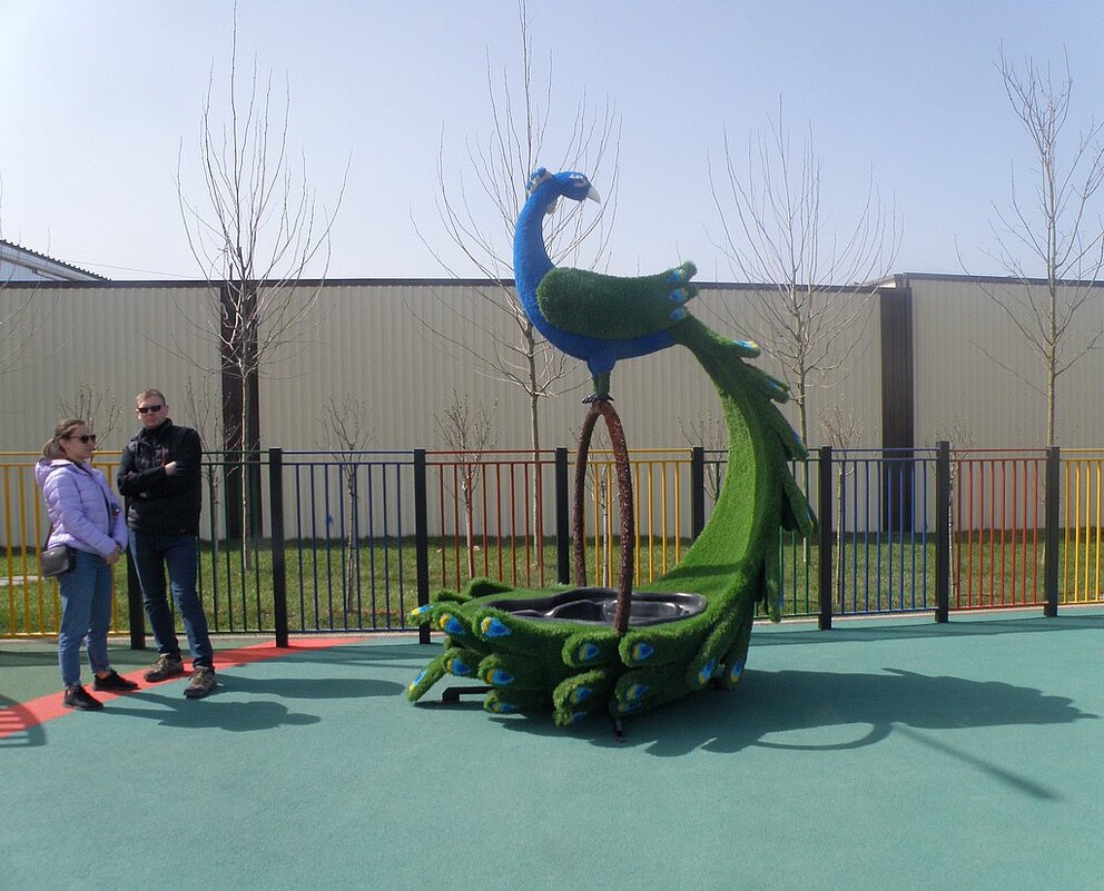 Павлин зелёный - Александр Рыжов Павлин зелёный - Александр Рыжов