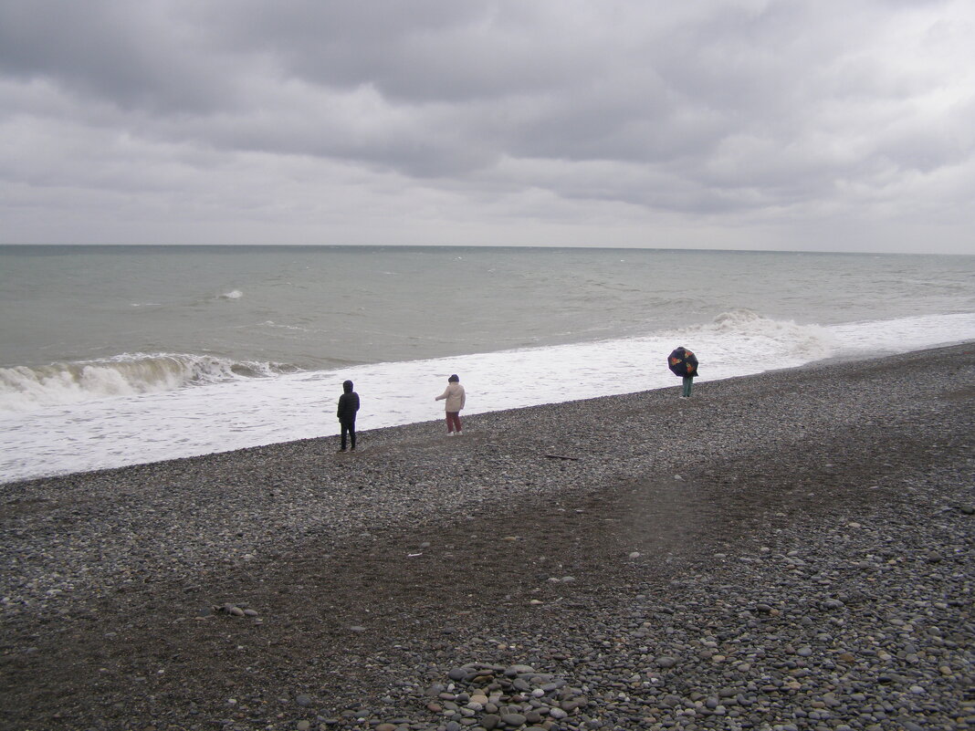 Люди пережидают шторм - Анна Воробьева Люди пережидают шторм - Анна Воробьева