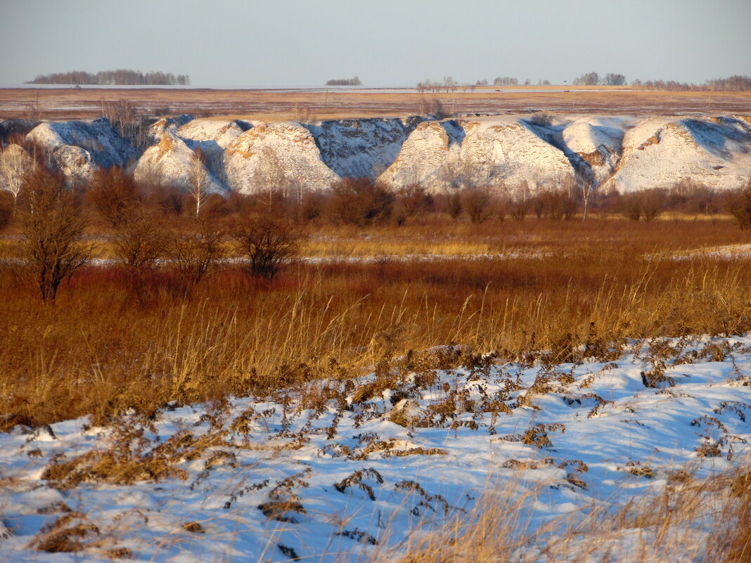Поздняя осень. - nadyasilyuk Вознюк