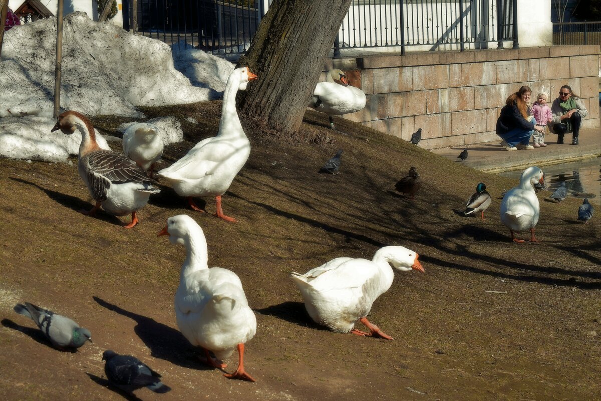Без суеты, без шумного пространства. - Татьяна Помогалова