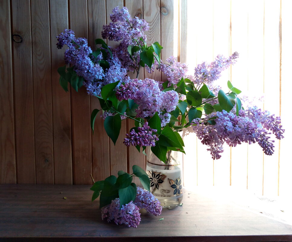 Сирень - Валентина Богатко Сирень - Валентина Богатко