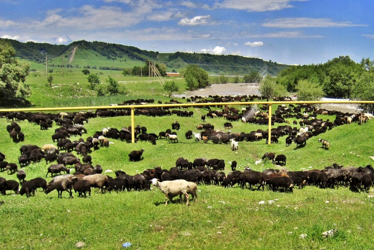 По дороге в Архыз - Елена (ЛенаРа)