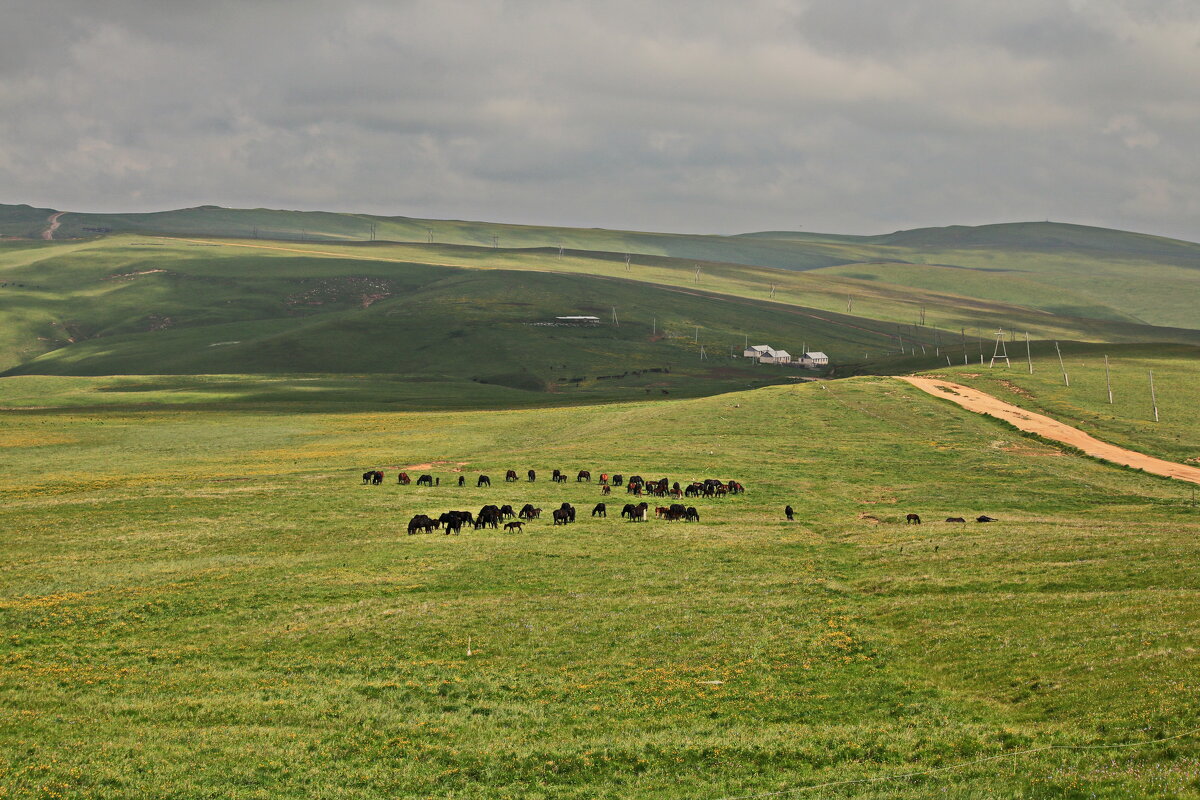 В горах Карачаево-Черкессии. - Ирина Нафаня В горах Карачаево-Черкессии. - Ирина Нафаня