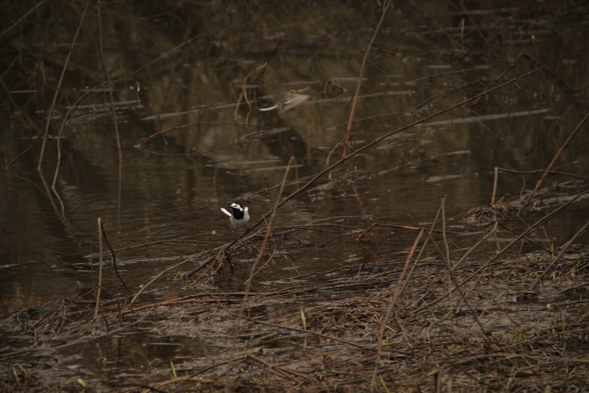 На отыхе - Илья 