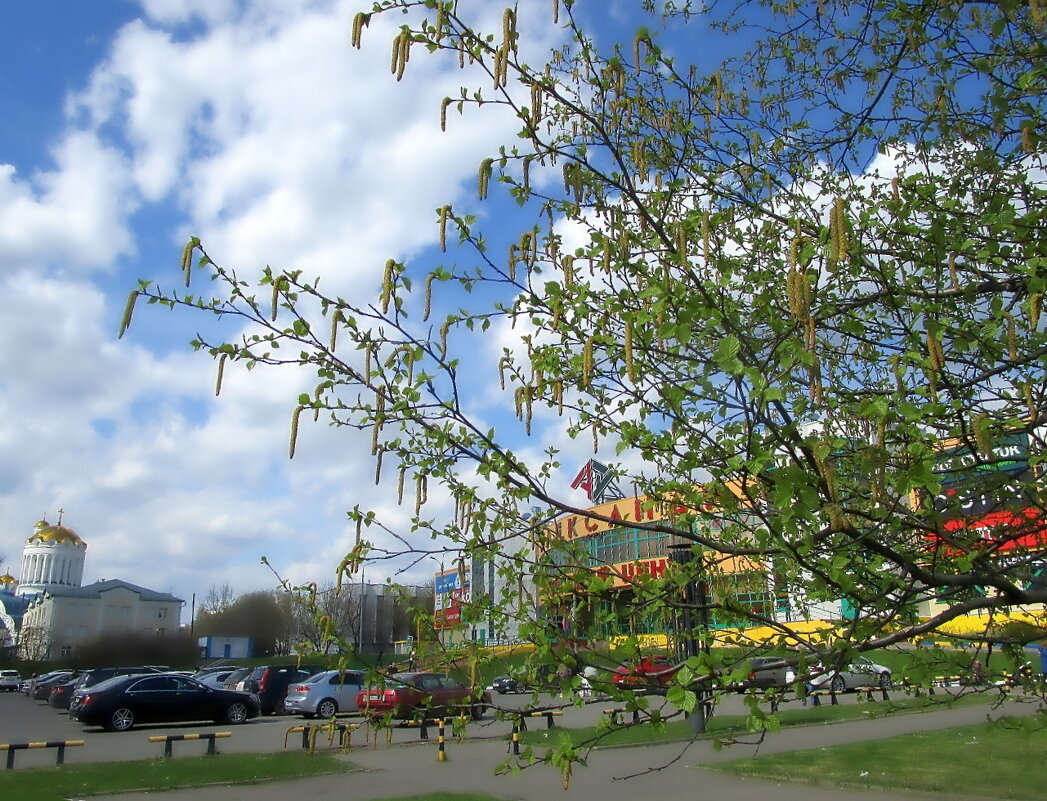 Весна в городе - Ольга Довженко