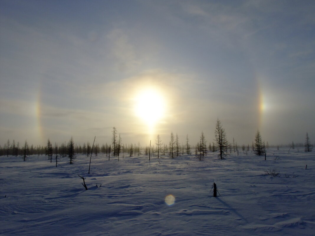 Гало - Игорь Шабалин Гало - Игорь Шабалин