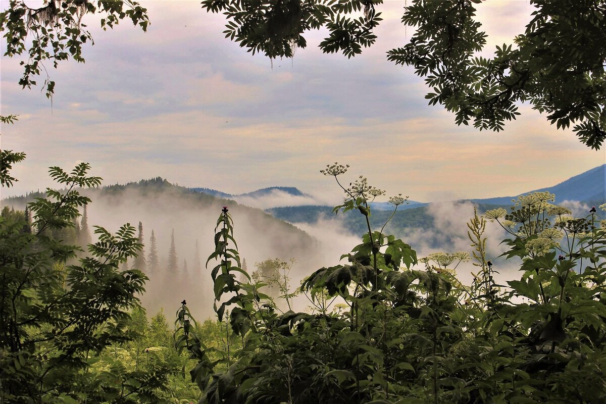 Утро раннее - Сергей Чиняев Утро раннее - Сергей Чиняев