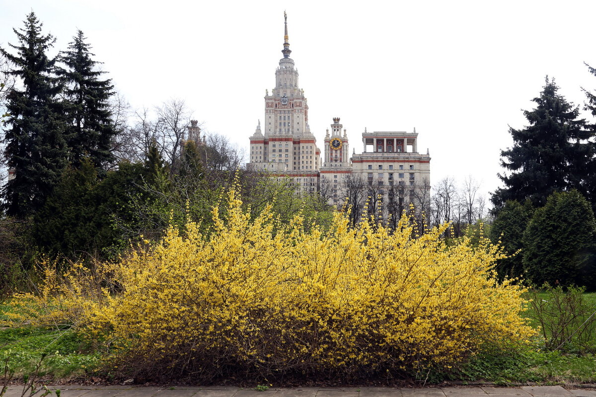 Ботанический сад МГУ имени М.В. Ломоносова - Михаил Бибичков Ботанический сад МГУ имени М.В. Ломоносова - Михаил Бибичков