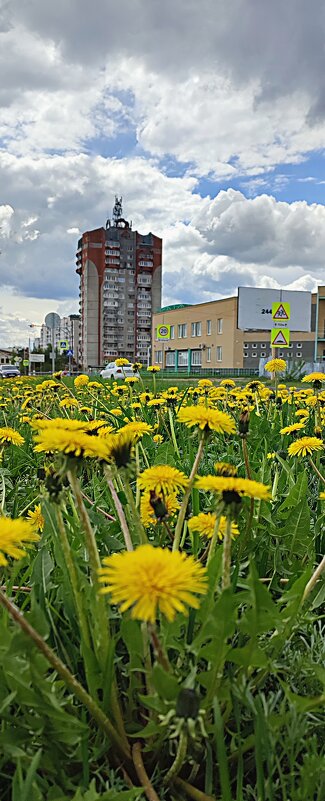 Весна идёт по городу. - Николай Масляев