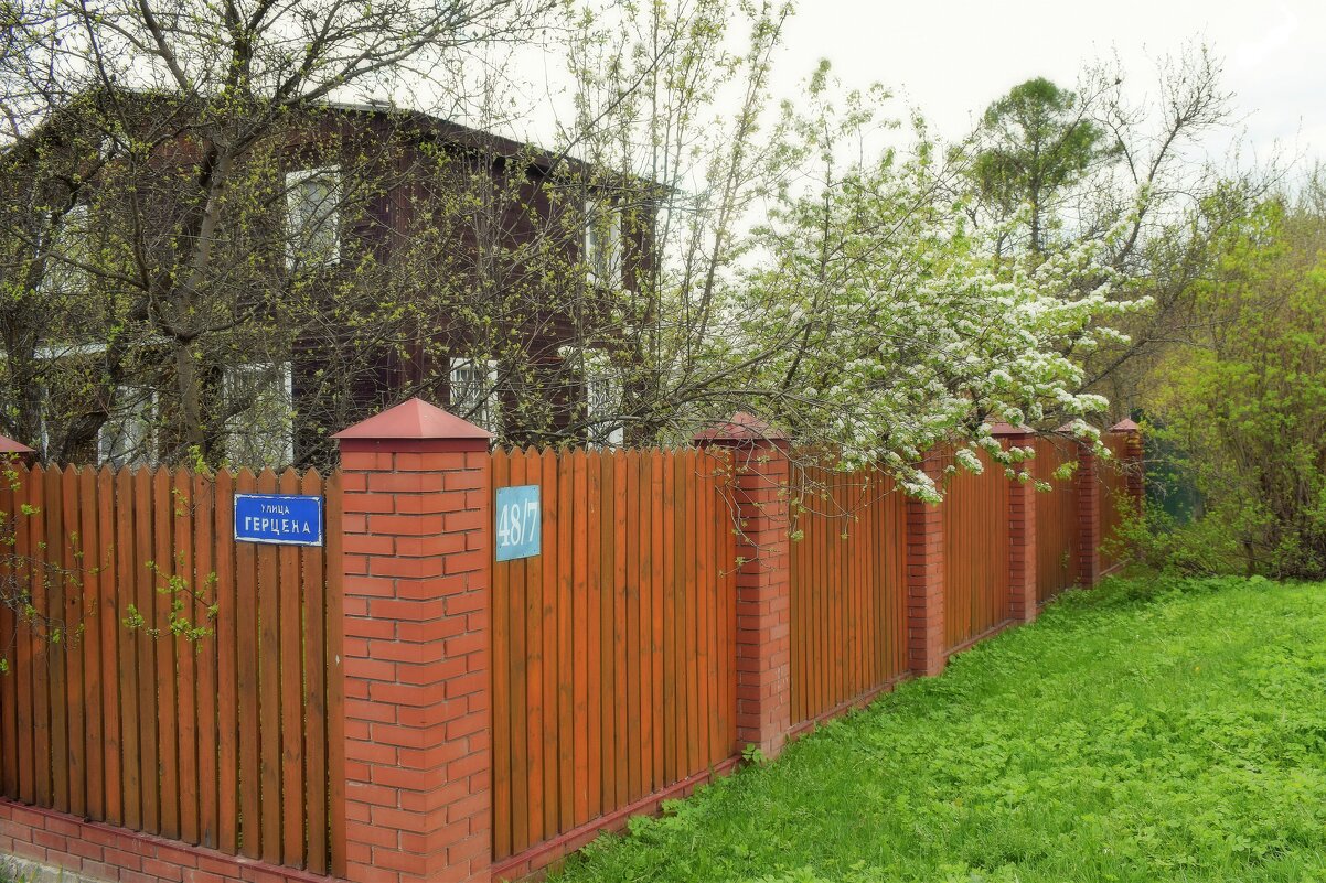 Весна в Подмосковье. - Татьяна Помогалова Весна в Подмосковье. - Татьяна Помогалова
