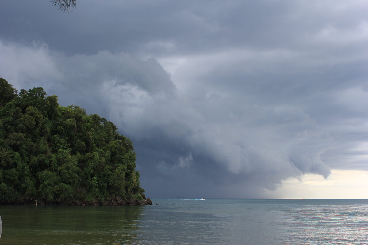 приближается тропический ливень.. - Светлана Ан приближается тропический ливень.. - Светлана Ан