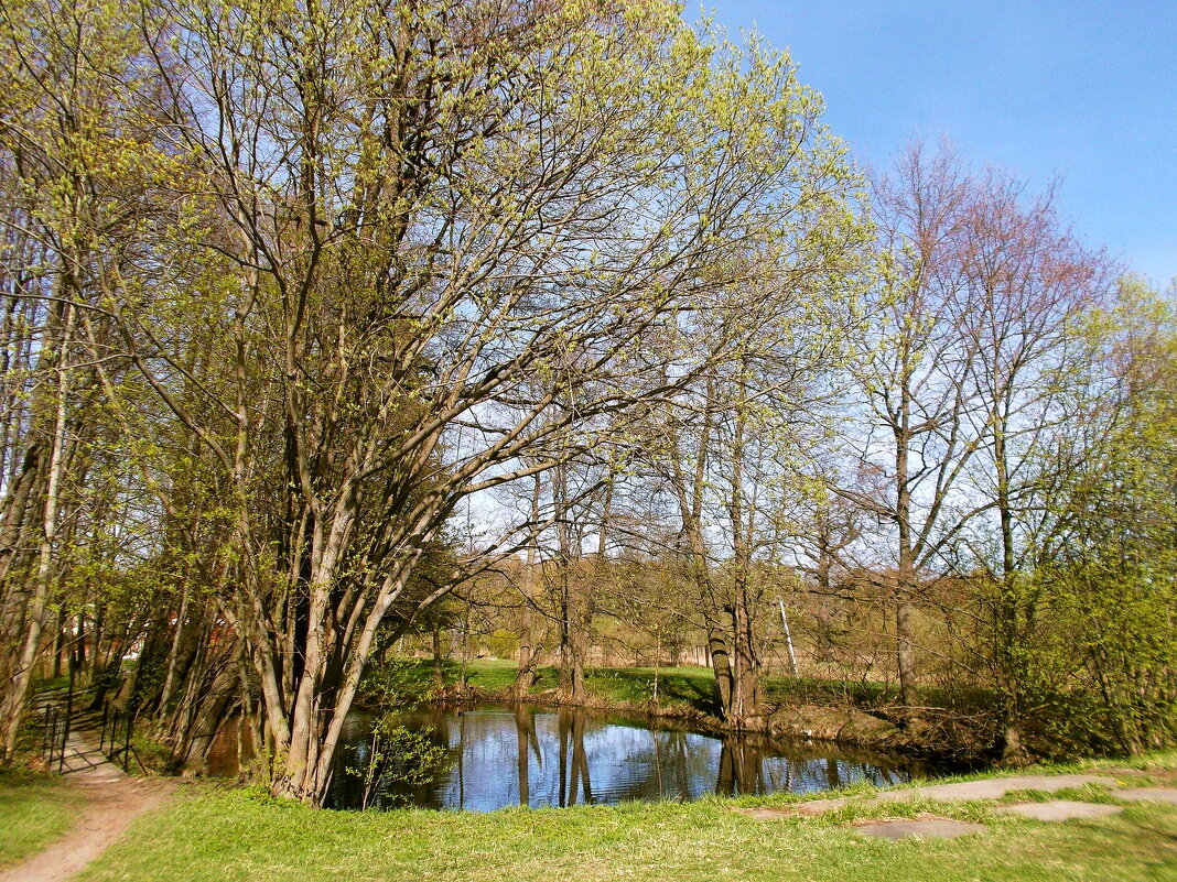 Прогулка по любимым местам. - VasiLina * Прогулка по любимым местам. - VasiLina *