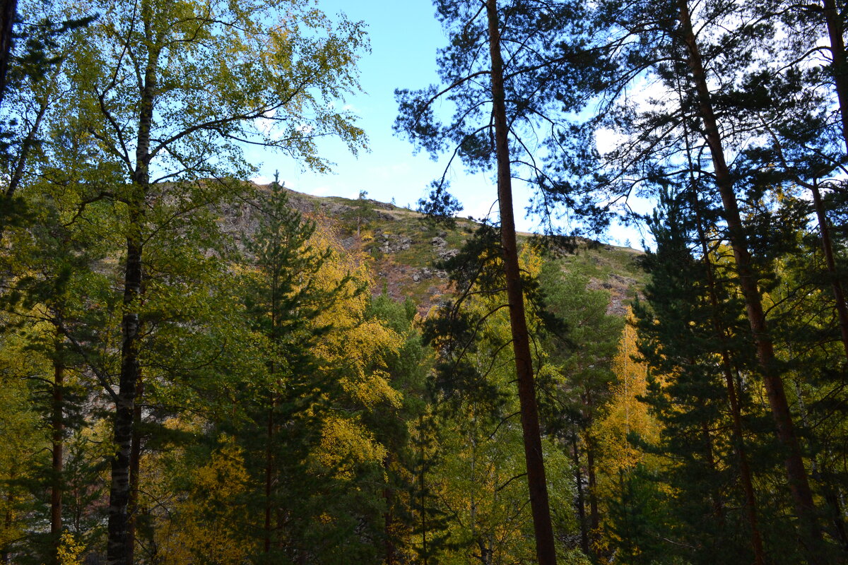 Солнечный луч.. - Георгиевич Солнечный луч.. - Георгиевич