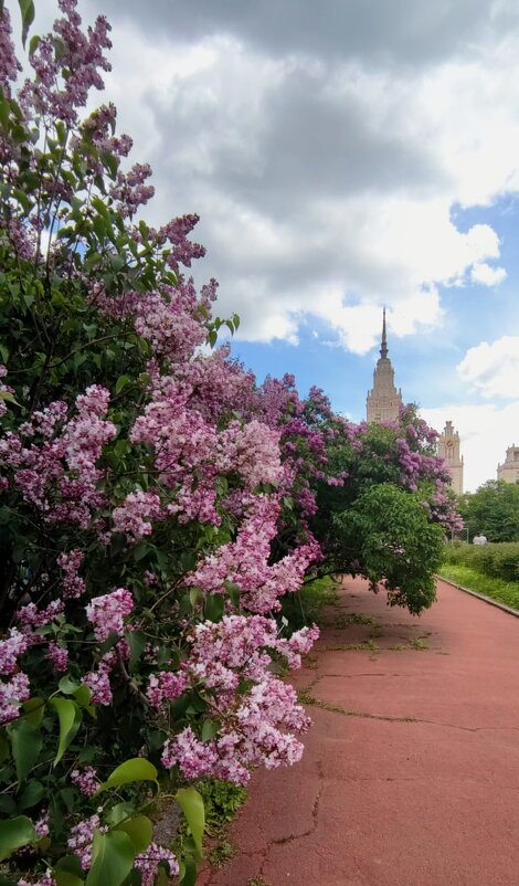 Хороший день - Георгий Ковалев