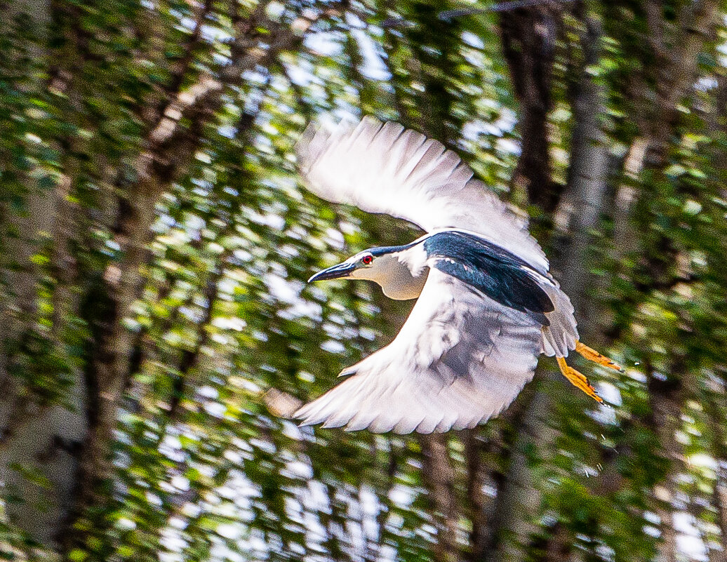 Полет - Юрий Яловенко Полет - Юрий Яловенко
