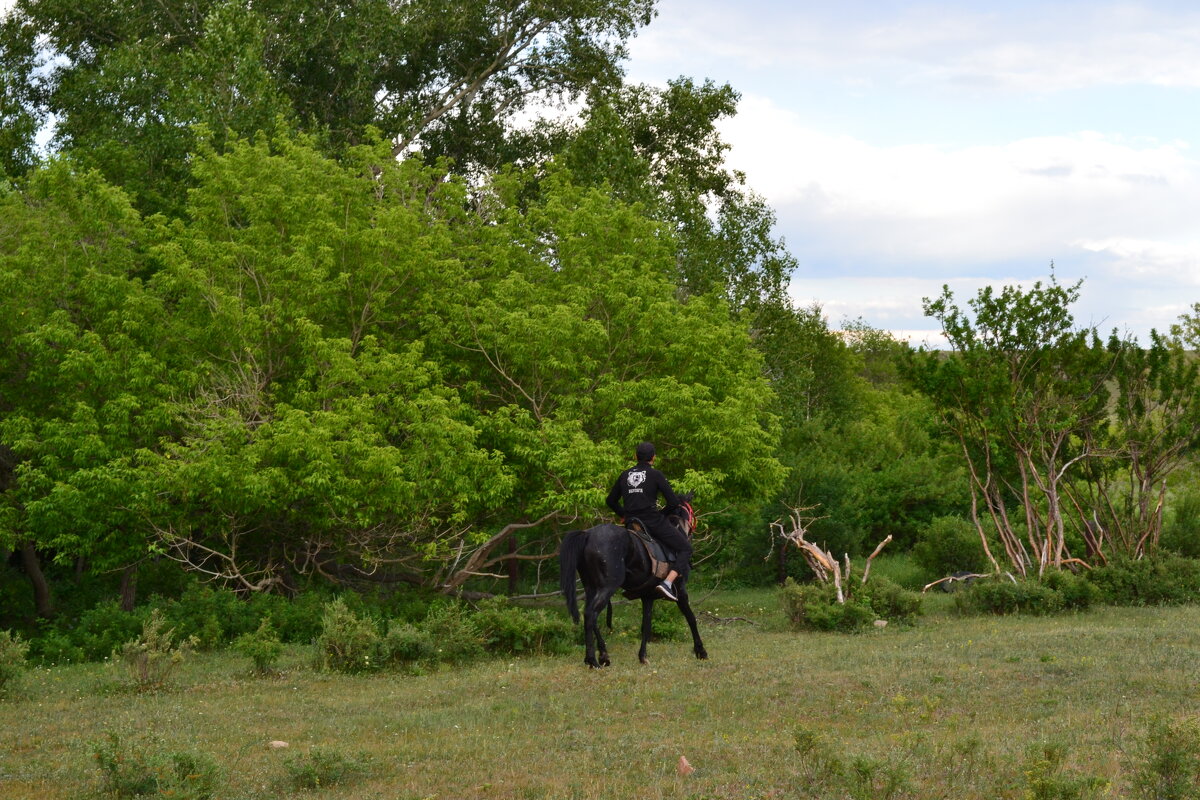 Проскакать,на буланном коне... - Андрей Хлопонин Проскакать,на буланном коне... - Андрей Хлопонин