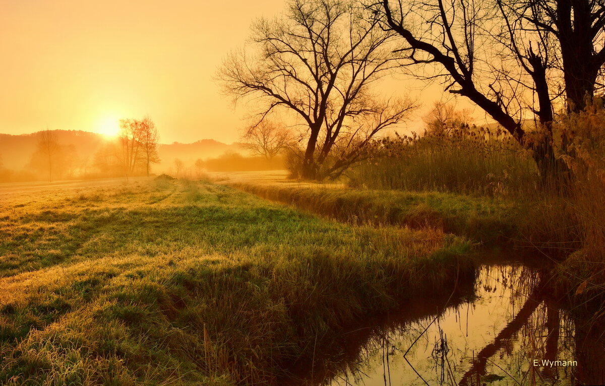 sunrise - Elena Wymann sunrise - Elena Wymann