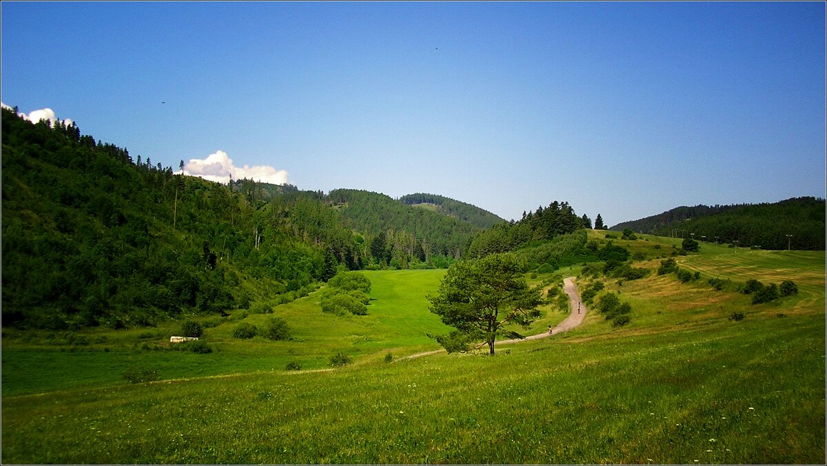 дорога в лес - Jiří Valiska