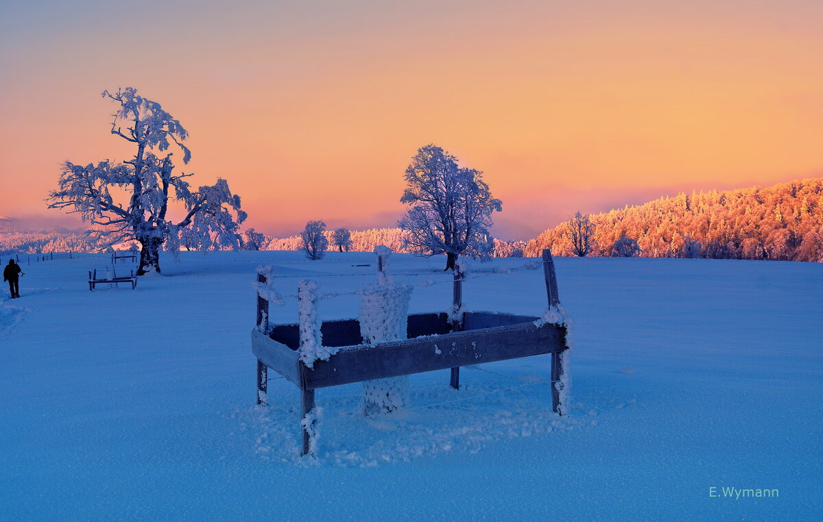 winter morning - Elena Wymann