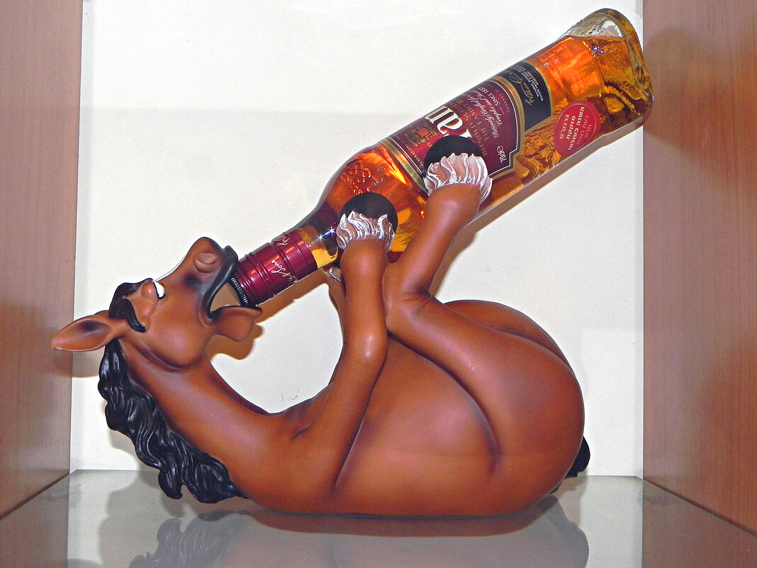 Не пей как лошадь! Сувенир! - Светлана Хращевская Не пей как лошадь! Сувенир! - Светлана Хращевская