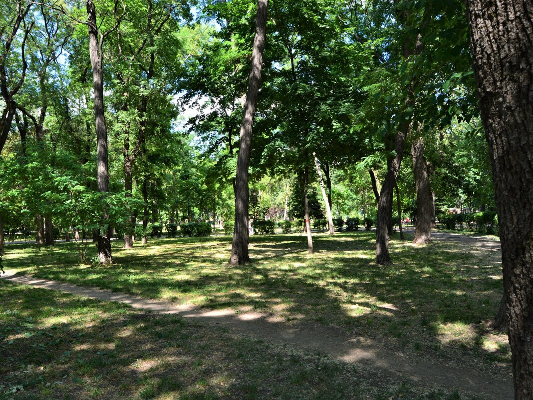 Ростов-на-Дону. Парк им. Н. Островского июньским днём. - Пётр Чернега Ростов-на-Дону. Парк им. Н. Островского июньским днём. - Пётр Чернега