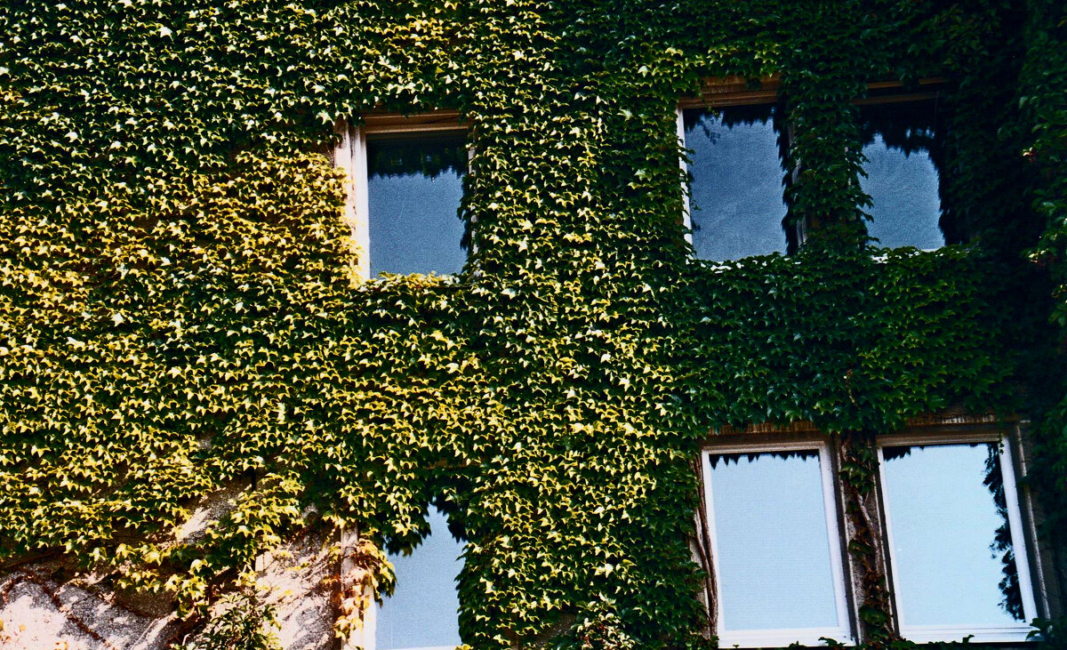 Дрезден 46 - Алексей Кузнецов